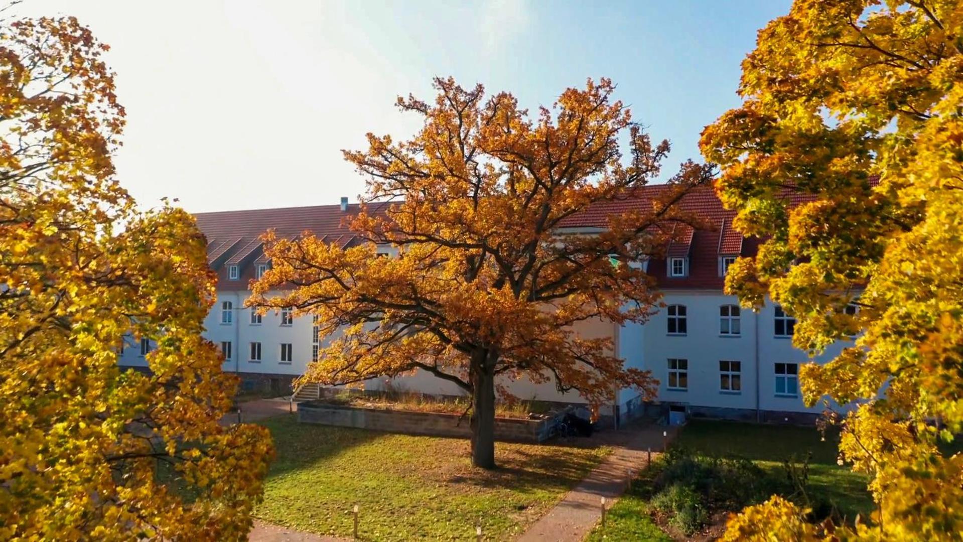 Parkresidenz Lychen, Ferienwohnung 8 외부 사진